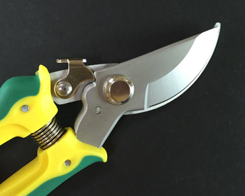 ԰����еӦ��